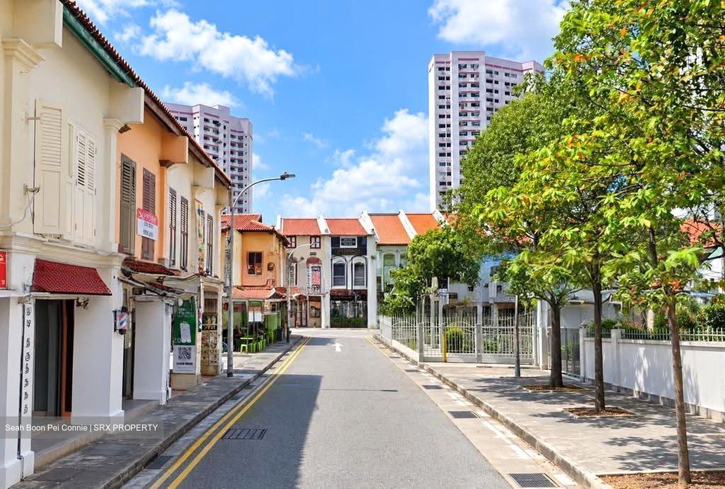Farrer Park View (D8), Shop House #618974181